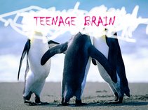 Teenage Brain