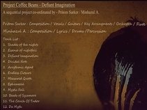 Project - Defiant Imagination