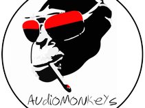 AudioMonkeys
