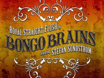 Bongo Brains feat. Stefan Sundström