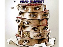 Head Harvest