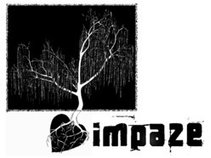 Impaze