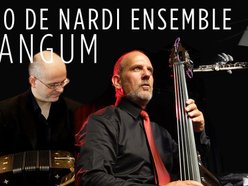 Alejandro De Nardi Ensemble