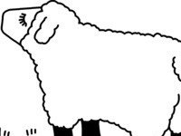 Sheep in Solace
