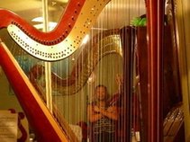 Harp Zeno Alma Harpist & Composer