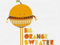 Big Orange Sweater