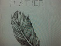 Grey Feather