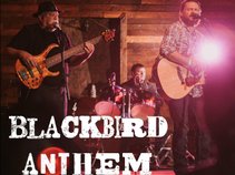 Blackbird Anthem