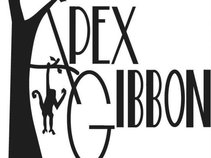 Apex Gibbon