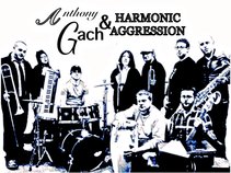 Anthony Gach & Harmonic Aggression