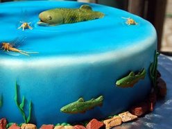 Image for Trout Cake