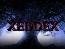 XEDDEX™ Official Page