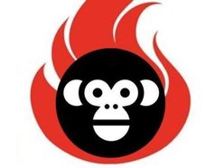 Image for Monkey Fire