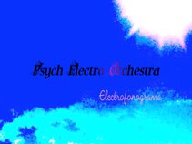 Psych Electro Orchestra