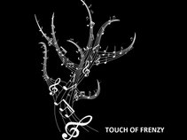 Touch of Frenzy Music