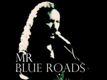 Mr Blue Roads