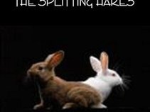 The Splitting Hares
