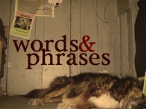 words & phrases