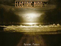 Electric Bird