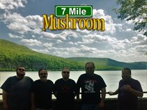 7 Mile Mushroom