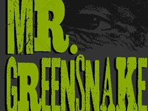 Mr. Greensnake