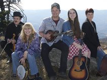 The Whitetop Mountain Band