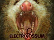 ElectroPossum