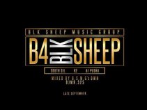 Blk Sheep Music Group
