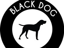 Black Dog Tavern at Deer Ridge Golf Club