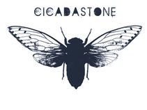 Cicadastone