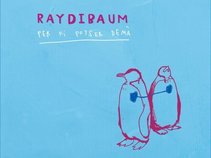 Raydibaum