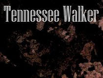 Tennessee Walker