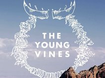 The Young Vines