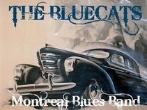 The Bluecats