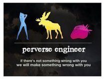 Perverse Engineer