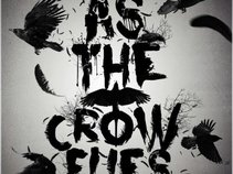 As The Crow FLies