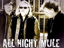 All Night Mule