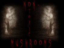 non-toxic mushrooms