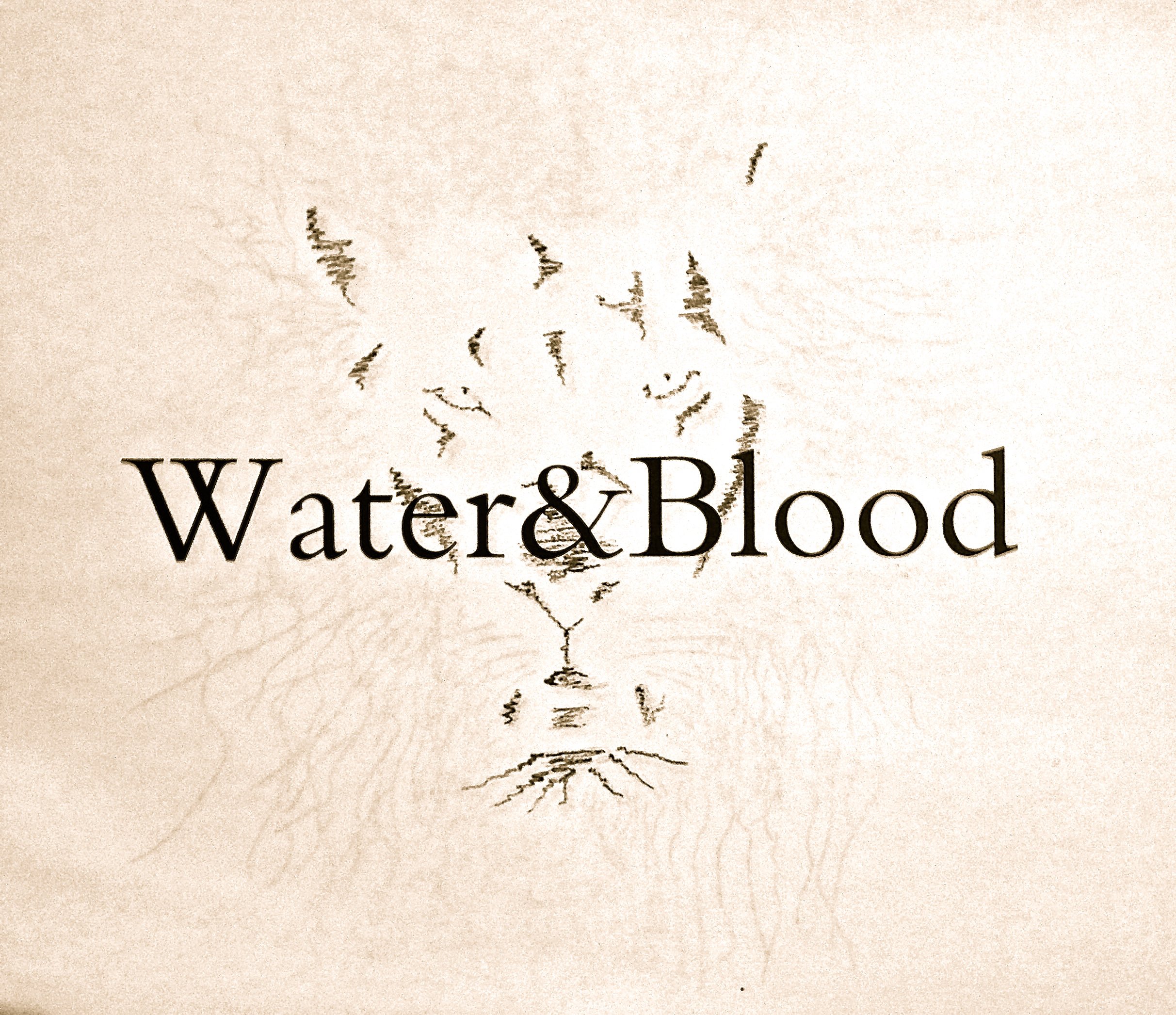 Перевод песни water tyla. Blood Water обложка. Песня Blood Water. Блуд Ватер на английском. Blood Water на русском текст.