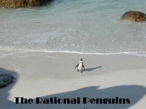 The Rational Penguins