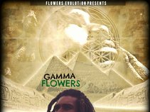 GAMMA FLOWERS