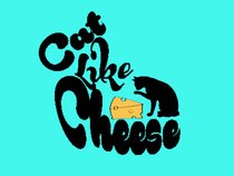 Cat Like Cheese