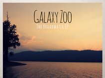 Galaxy Zoo