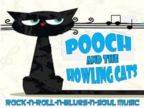 Pooch & the Howling Cats