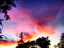 Stone Marigold