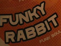 Funky Rabbit