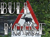 Bull Moose Party