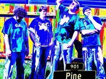901 Pine