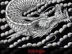 Image for little dragon