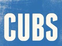 Chicago Cubs fan